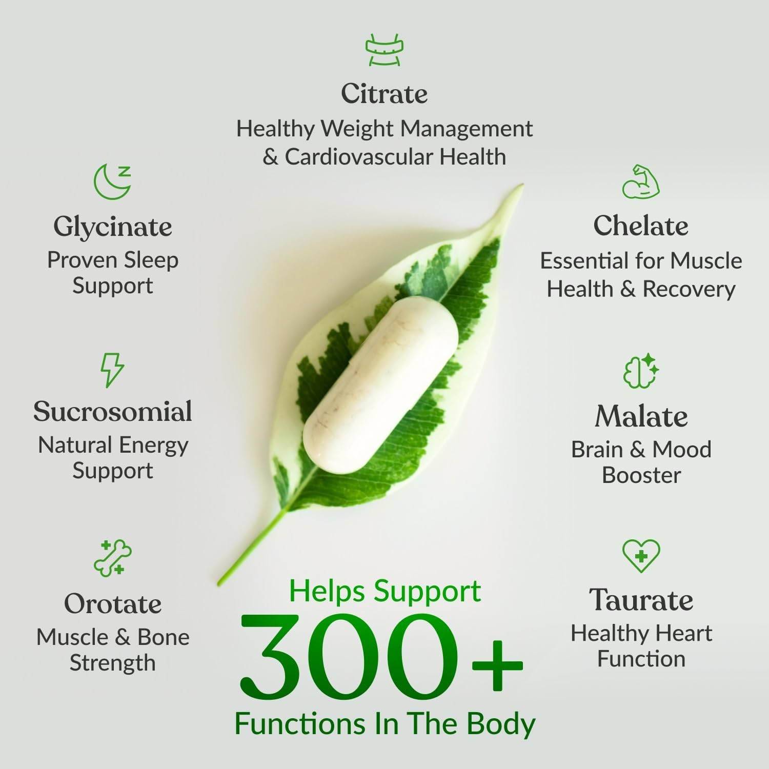 BIOptimizers Magnesium Breakthrough — 7-Form Magnesium Supplement