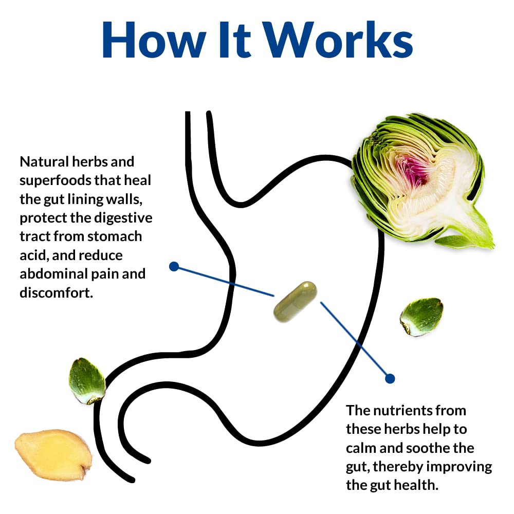 Gut Alive – Natural Digestive Support for IBS, Bloating & Acid Reflux (60 Capsules)